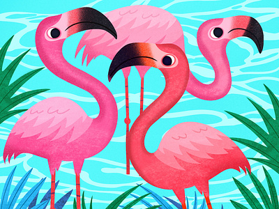 Flamingos © Nicole Wilson 2019. animals childrens books digital art editorial editorial illustration graphic art illustration illustrator kid lit nicole wilson