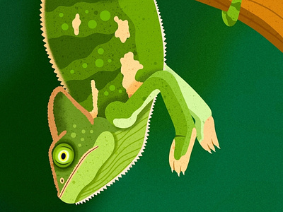 Chameleon animals childrens books colorful design digital art editorial editorial illustration graphic art illustration illustrator nicole wilson