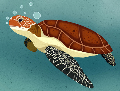 Sea Turtle animal animal illustration animals childrens books design digital art editorial editorial illustration icon illustrator nicole wilson sea turtle