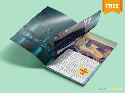 Free Magazine Ad PSD Mockup