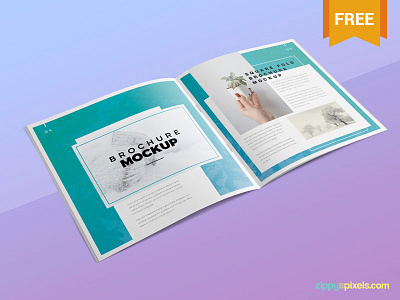 Download Flyer Mockup Designs Themes Templates And Downloadable Graphic Elements On Dribbble