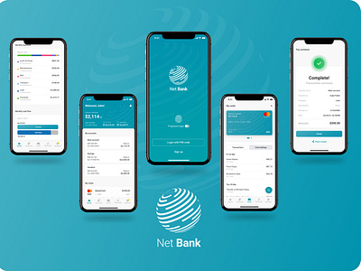 Net Bank online banking app concept