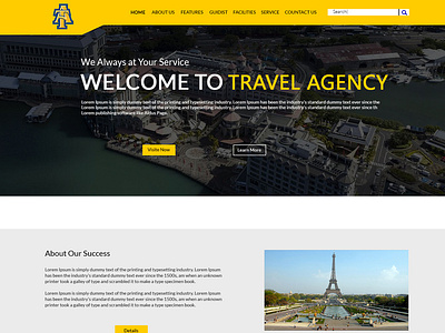 Travel Agency animation app art brand branding character design illustration illustrator lettering minimal typography ui ux vector web website