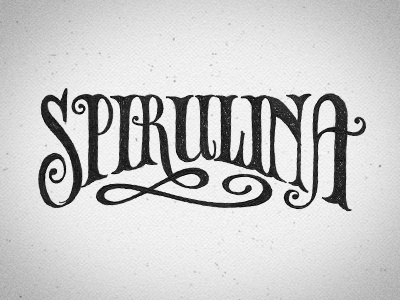 Chalk Mural Lettering - Spirulina hand drawn lettering