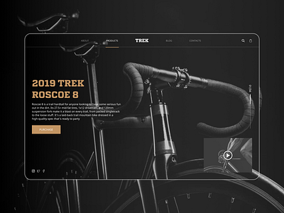 Trek Bike design minimal type typography ui ux web website