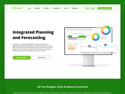 Finance planning Homepage UI Design design finance website graphic design homepage ui user interface ux website design website ui