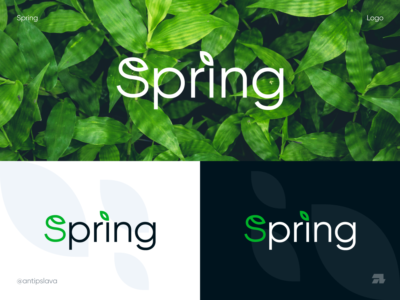 Spring logo by Slava Antipov on Dribbble