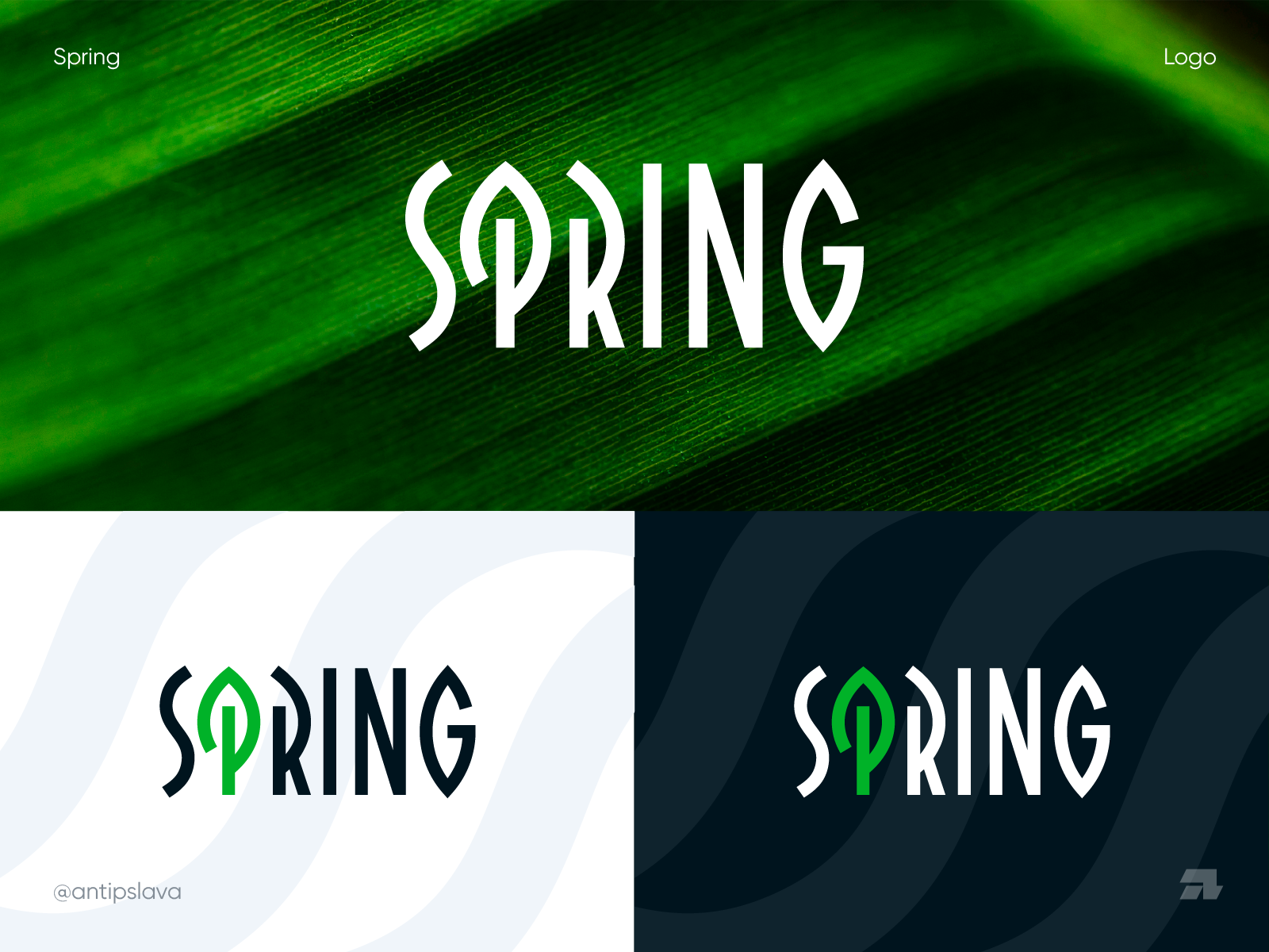 Spring logo by Slava Antipov on Dribbble