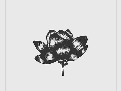flower 1 blackandwhite flower illustration illustrator shading vector