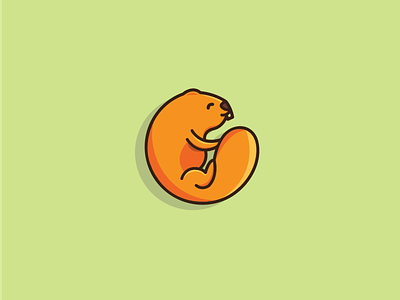 beaver animal logo cartoons design flat illustration illustrator logodesign vector