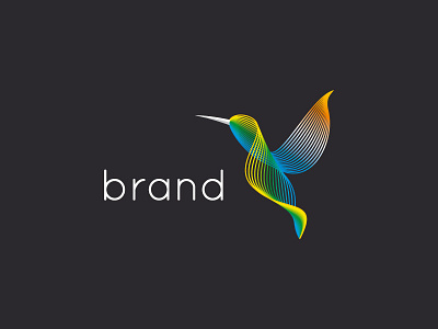 Multiline Hummingbird branding colibri design hummingbird logo multi color