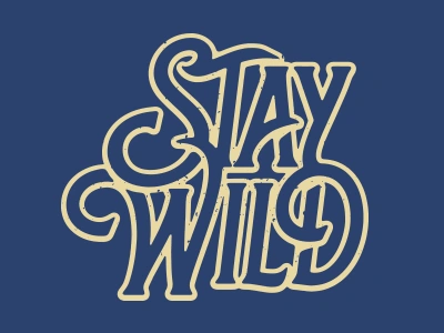 Stay Wild creative design designspiration handlettering illustration lettering pencil sketch typegang typespire typography