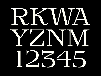 Custom Font black custom display serif shark typography