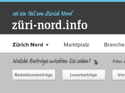 Webdesign Züri Nord design interface social timeline ui ux web