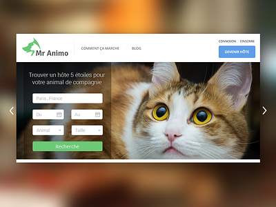 Slider with a search form cat filter flat form green header pets search slider