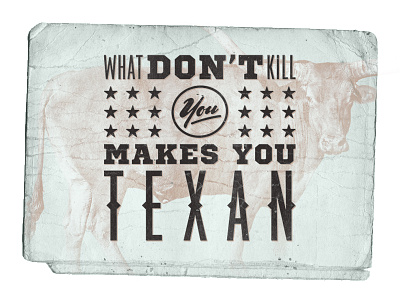 Texas Stuff bull cow kill lettering stars steer texan texas type