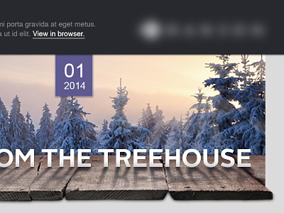 eNewsletter Header email header newsletter responsive sunlight template texture treehouse trees wood
