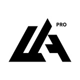 Ladyginpro