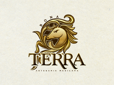 Bona terra dribbble