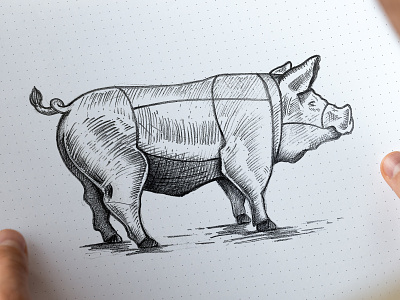 Pork Sketch - Dean's BBQ brand branding design illustration logo pig pork vector