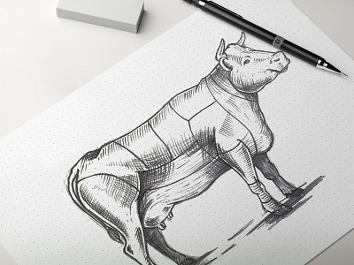 Beef Sketch - Dean's BBQ beef brand branding cow design illustration logo vector