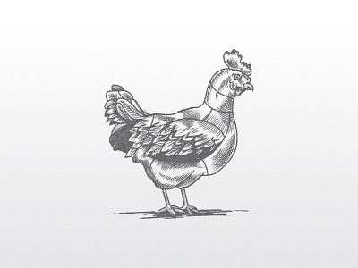 Dean's - Poultry Illustration brand branding chicken design draw drawing food illustration logo poultry restaurant vector