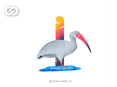 Letter "I" Ibis 2020 art bird bird illustration color creative cute design ibis illustration illustrator letter trend vector