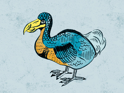 Dodo aviary bird dodo dodo bird hand drawn illustration ink pen photoshop