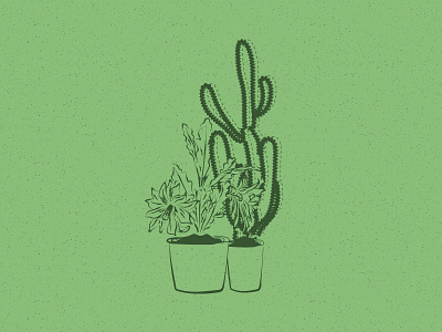 Cacti cactus desert green illustration plants still life