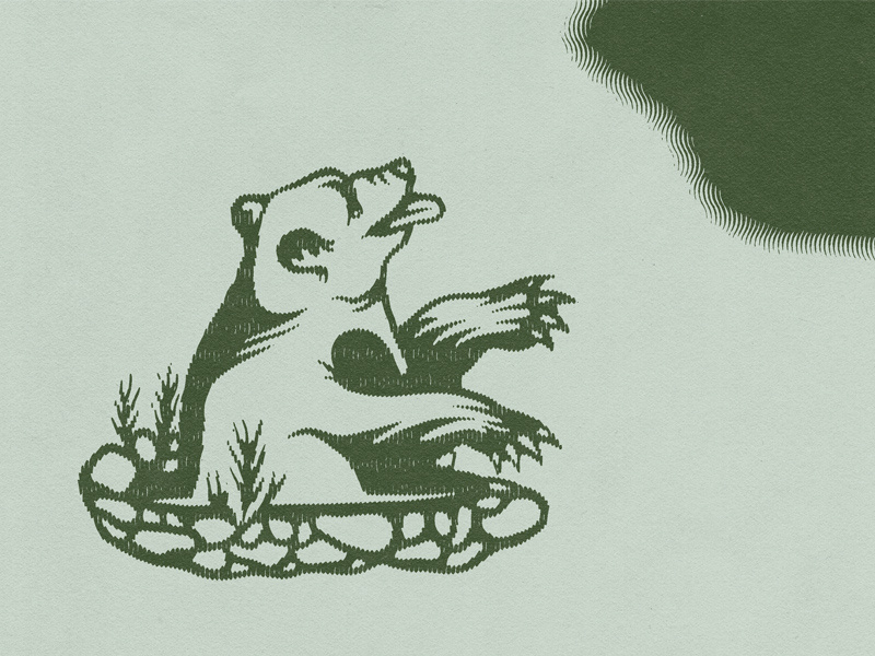 Bear Hole logomark wild woods zine machine true grit texture mark illustration bear logo