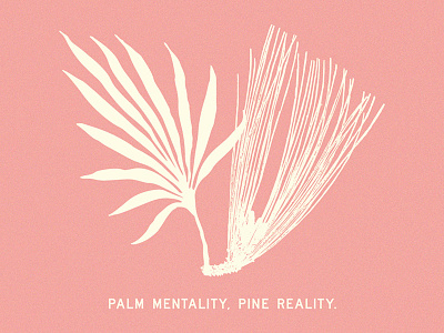 Research Graphics branding illustration illustration art instagram palm pine social media