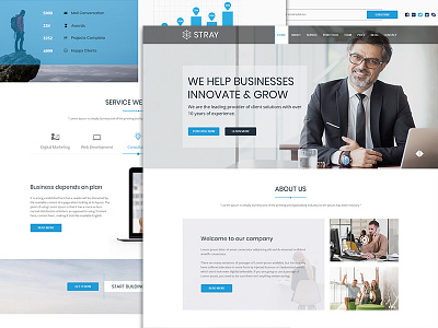 Stray - Business Landing Page agency business business agency corporate business creative business multipurpose multipurpose business one page parallax responsive services small business youtube agency