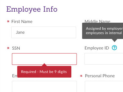 Employee Info errors forms tooltips validation web applications