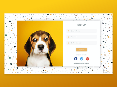 Pet Store Sign Up clean ui colorful design ecommerce app ecommerce design light theme modern design onboarding pets puppy web design website design