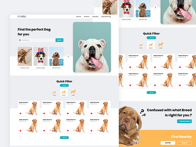 Dog Matching Web UI Design