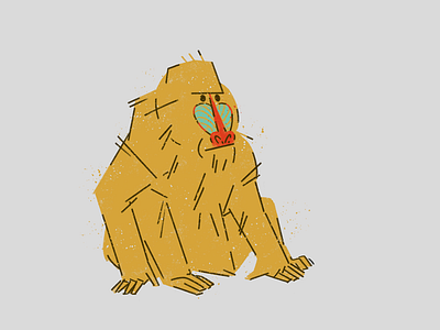 Baboon illustration