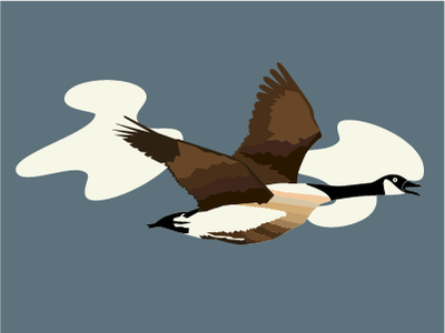 goosey goosey gander canadiangoose design graphic illustration illustration design illustration digital webdesign