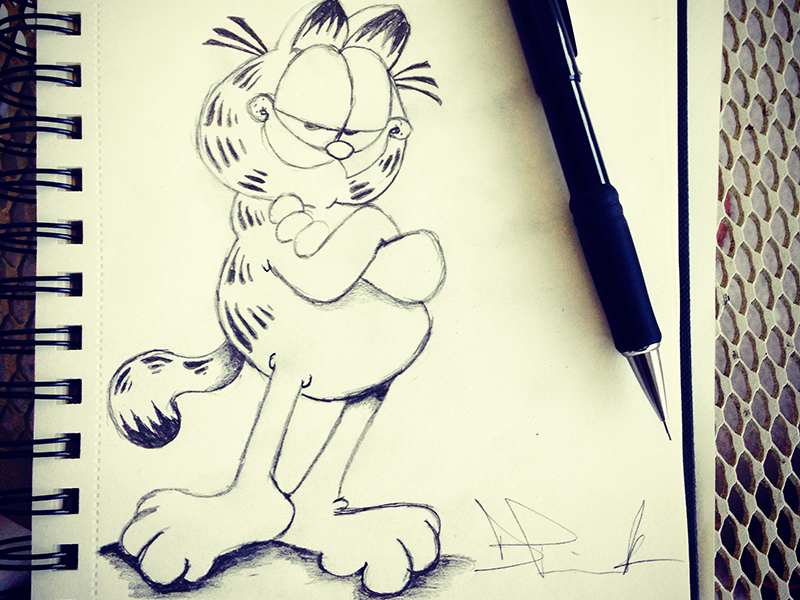 Garfield The Cat | My Character Sketch by Darold J. Pinnock on Dribbble