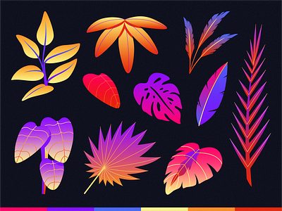 Tropical Leaves and Gradient Studies