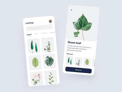 Leaf shop app concept app design ecommerce exploration figma ui ui ux uiux ux