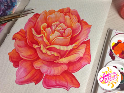 Pink and orange rose botanical floral floral design floral illustration flower flower illustration flowers illustration ink paint painting rose spot illustration watercolor watercolor collection watercolour