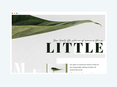 Little website design design original layout pictures plant random ui ux webdesign website website design
