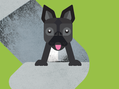 French Bulldog dog french bulldog frenchie illustration texture vector