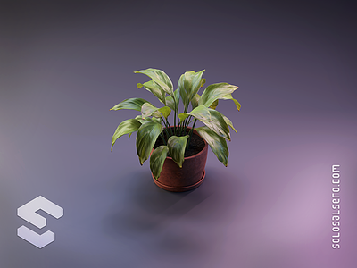 Plant 3d blender c4d cinema4d design graphicdesign green icon isometric object plant pot solosalsero