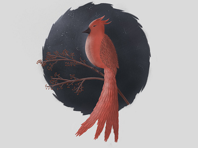 Red bird illustration nature illustration red bird