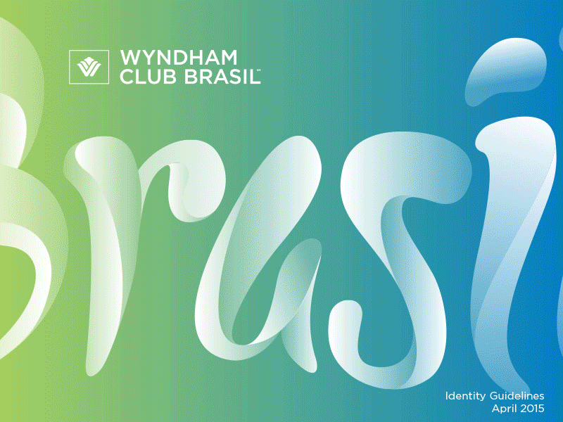 Brand Styleguide brasil brazil guidelines identity lettering styleguide travel typography