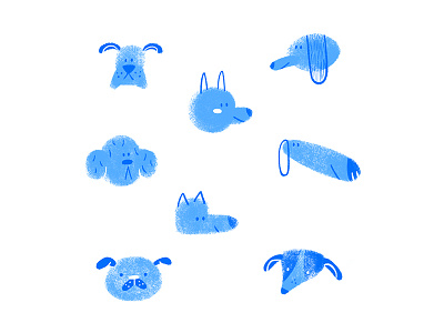 1 animals blue dogs woof