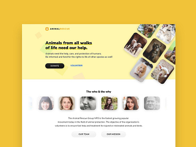 Animal Rescue website animal design friendly ngo npo ui ux web website yellow