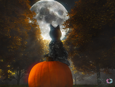 Cat on a pumpkin halloween 2019 by tg 1 3d cat digital art fog foggy forest fur halloween moon moonlight night octane render pumpkin spiderweb spooky trees