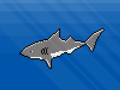 A Shark